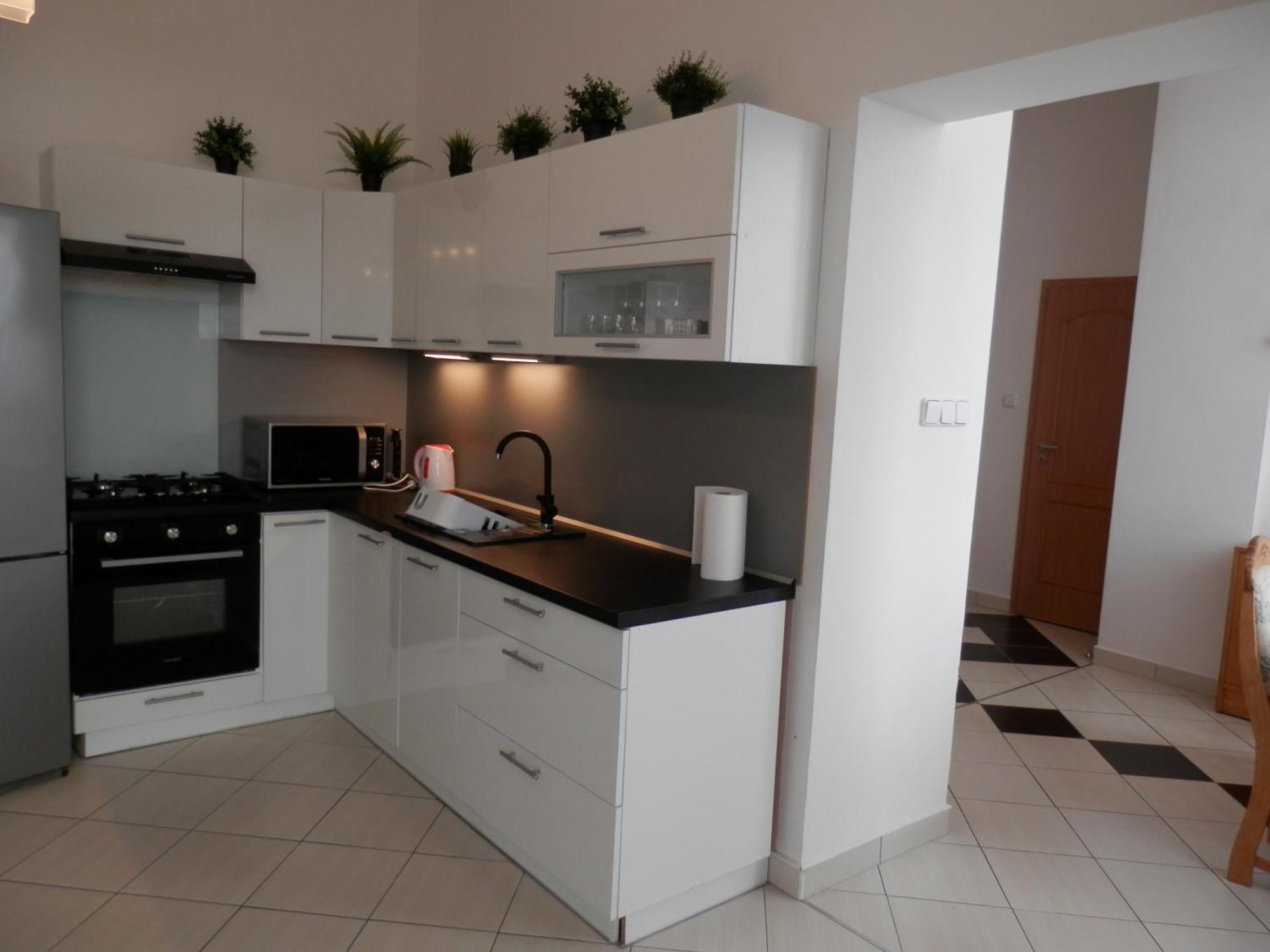 Spacious Apartment Below Spilberk Castle Brno Esterno foto
